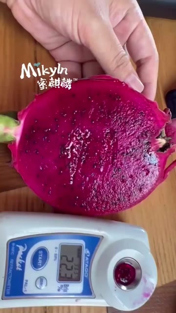 温岭市顺丰 蜜麒麟红心火龙果