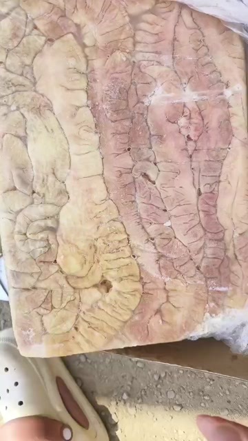 沂南县纯干二级大肠有一吨货价格不高