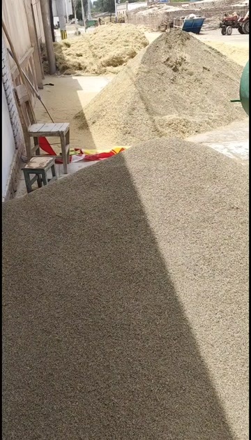 产地一手货源孜然