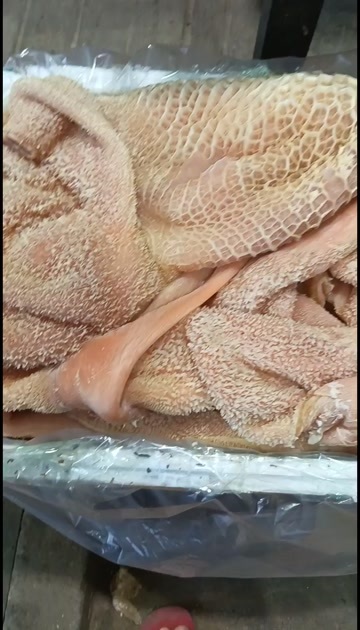汕头牛肚