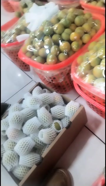 镇宁县六马蜂糖李