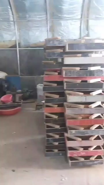 当阳市黄粉虫