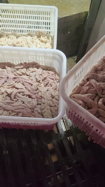 成都新鲜每天屠宰生肥肠去油百分之五十，带肠头，适用于肥肠粉店