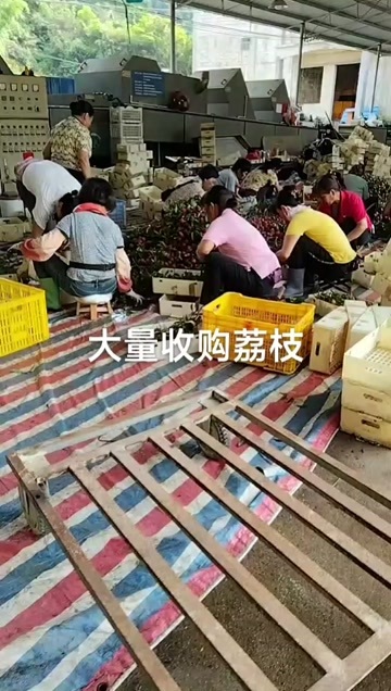 惠来县货源充足，有需要的老板来信。。。