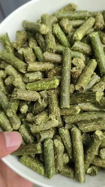 无棣县牧草饲草原料