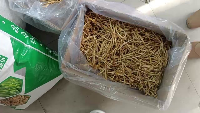 黄花菜