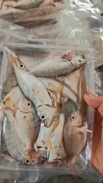 代杀好大杂鱼海钓小杂鱼煲自助餐厅酒店社区团购供应8两/盒