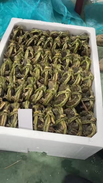 兴化市大闸蟹