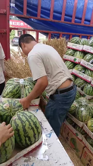 太康县精品头茬美都