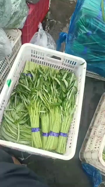空心菜，药食同源类保健特菜