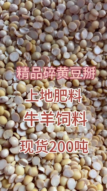临清市精品碎黄豆瓣