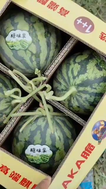 霸州市台农种植的无籽麒麟西瓜，精品好货