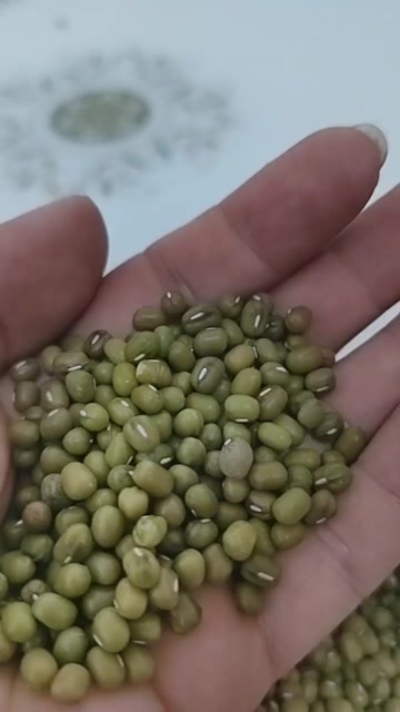 东北农家绿豆精品绿豆汤熬粥全国发货批发