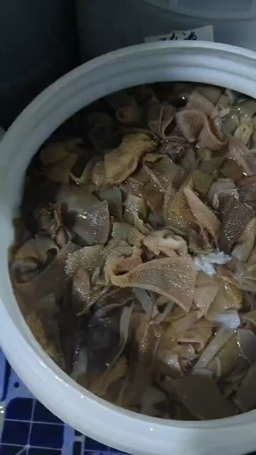 重庆市水发小碎叶（水发货重量有1-2两出入，介意的慎拍）
