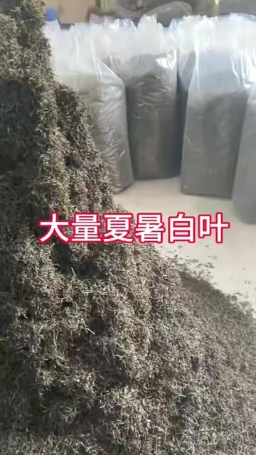 饶平县暑蜜兰香