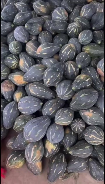兰州香芋南瓜