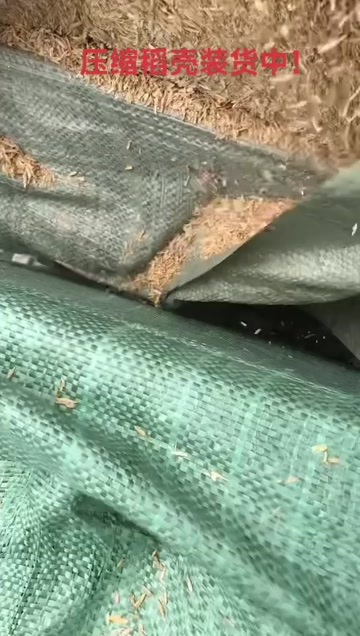 当阳市压缩稻壳装货中