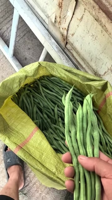 成县架豆王