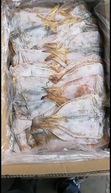 滕州市山东鱿鱼 个大肉厚 鱿鱼花 已改刀 泡发简便 高涨发
