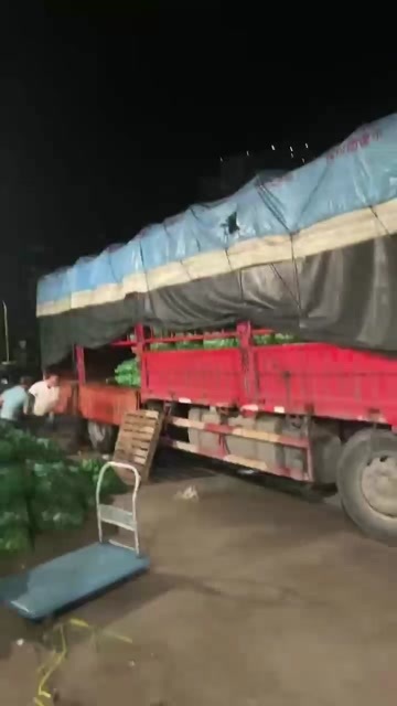 清远广东香水柠檬榨汁果