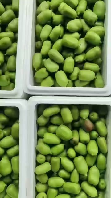 东港市软枣猕猴桃上市了
