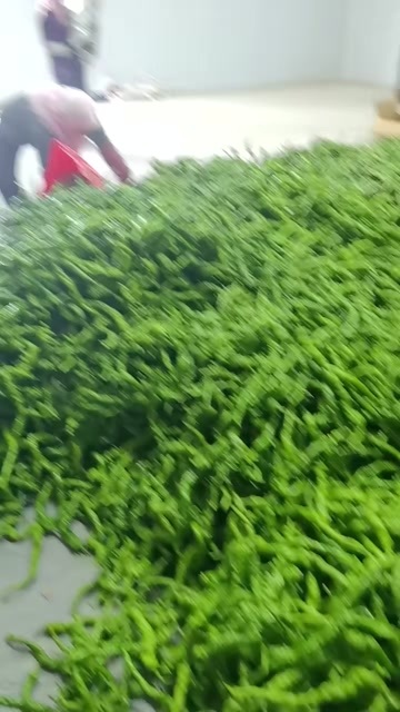 银川电商平台专用螺丝椒