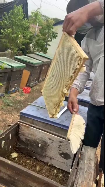 高州市自家中蜂蜜，不喂糖，还有两千左右斤批，需要的老板联系