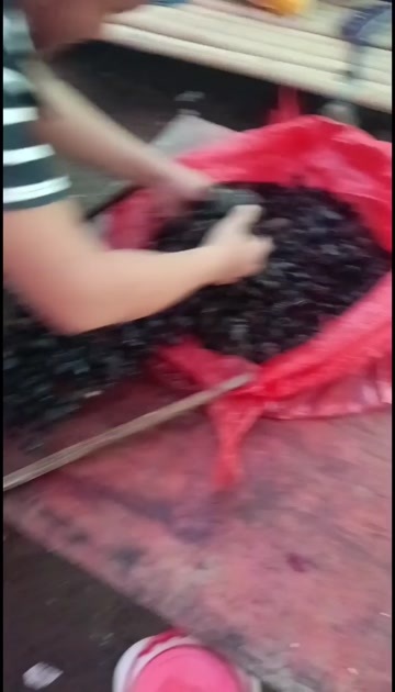 钦州水洗屎壳郎干货