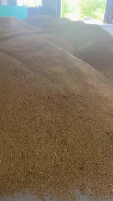 南昌县圆早稻，干湿都有，