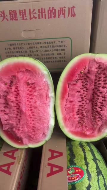 中宁县宁夏硒砂瓜