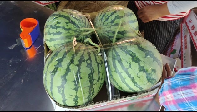 扶沟县河南美都西瓜头茬口感11