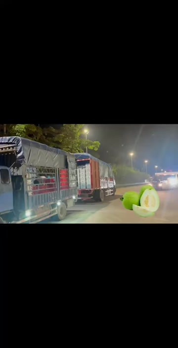 批发奶油白心芭乐软心软糯应季当季新鲜番石榴脆甜鸡屎果整箱批发