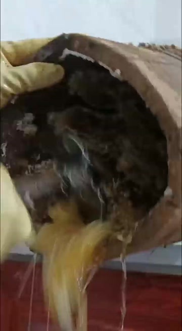 婺源县婺源土蜂蜜12-18个月保质期天然营养滋补品江西上饶农副加工