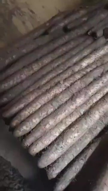 出售新疆白玉山药，货在山东单县冷库