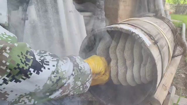 会昌县自家土蜂蜜，假一赔十