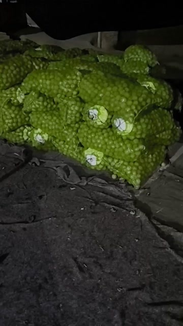 永济市现有一车 50 鲁光！欢迎有意客商前来看货洽谈！