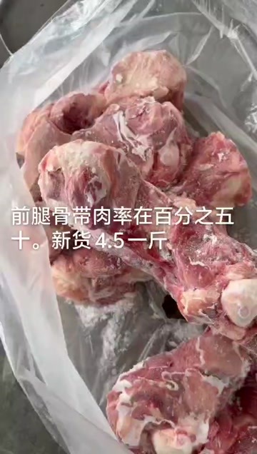 临沂多少前腿骨