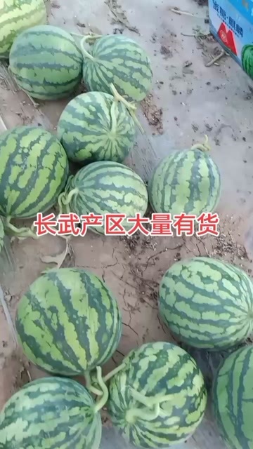 长武县麒麟无籽西瓜酥脆香甜口感好