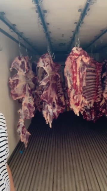 孟村县牛肉四分体 小公牛两年左右