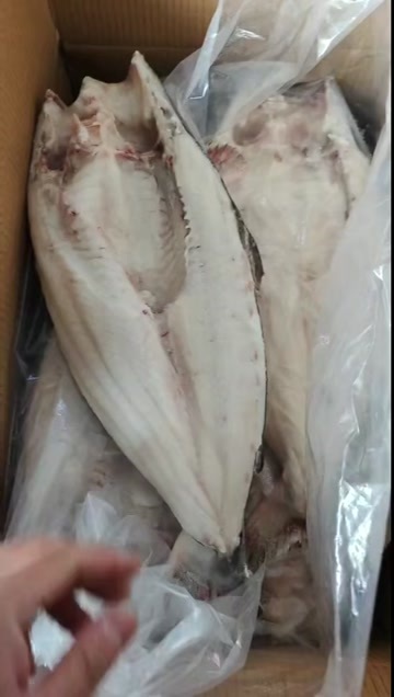 巴沙鱼