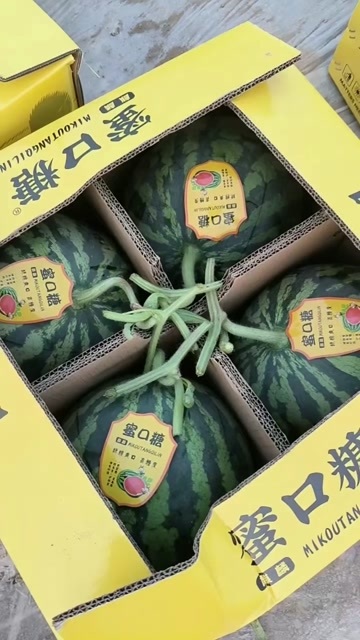 无籽美都