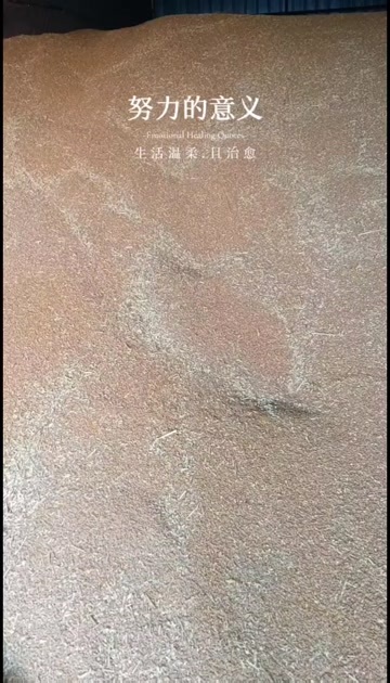 山东滨州地区轮选49优质麦纯度高，水份12左右