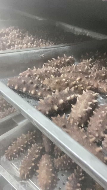 霞浦县即食海参