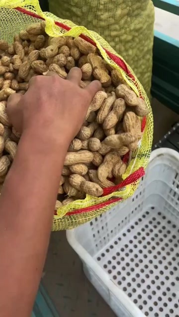 开封开封大白沙降价了