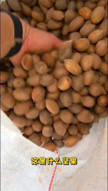 杭州碧根果南非卡普菲尔
