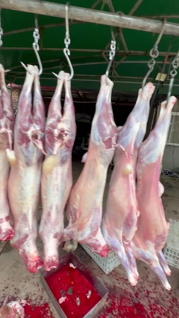 庆云县清真小山羊腔子