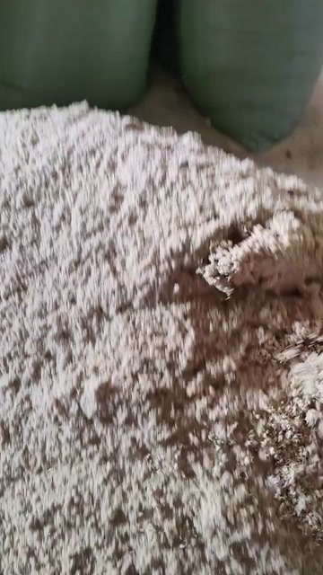佛山发酵豆渣，喂鸡鸭鱼猪
