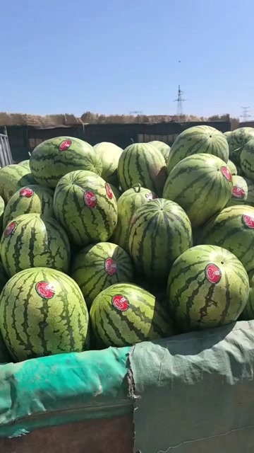 恭城县小掌柜宁夏硒砂瓜，石头瓜大量供应中，产地直销，一手货源