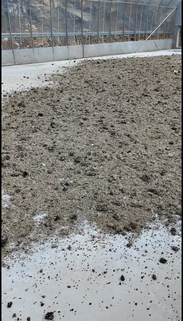 萧县鹌鹑粪鸟粪