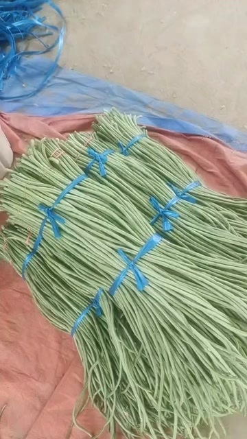 长豇豆